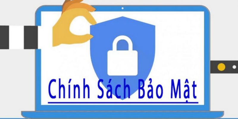 Tổng hợp những lưu ý trong chính sách bảo mật 7MCN